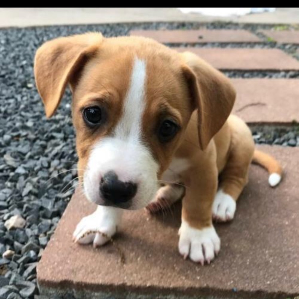 Meet your Posher, Lindsey